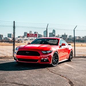 Meet your Posher, Carter